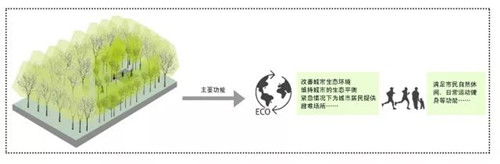 北京园林院赵晓璐：“城市森林”概念初探